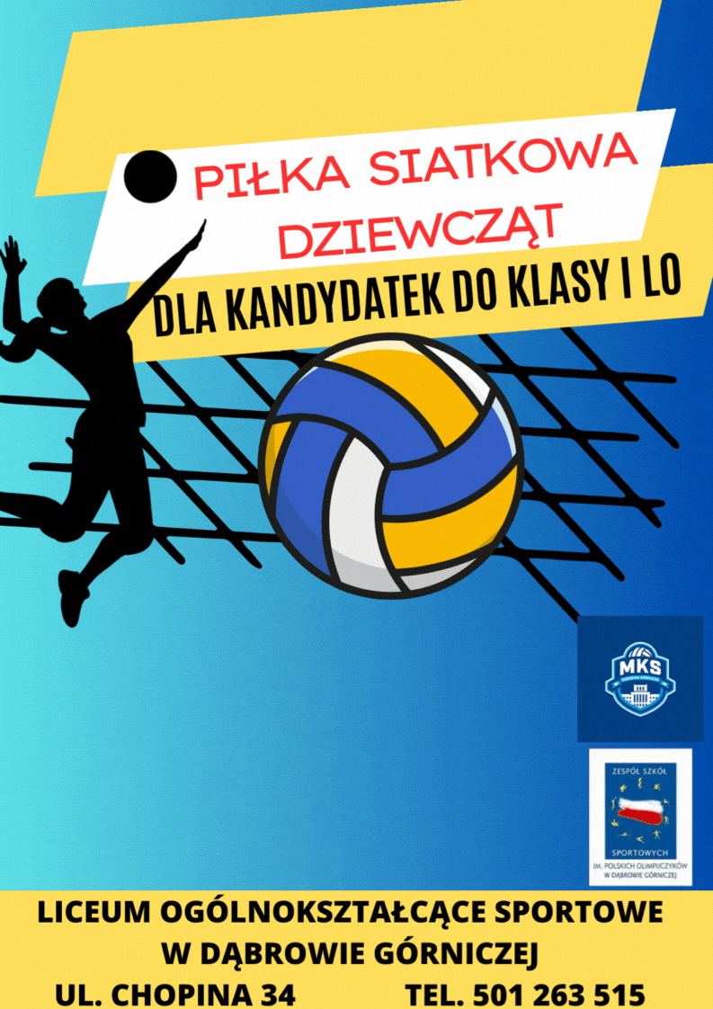 Black And Yellow Modern VolleyBall Tournament Poster 2