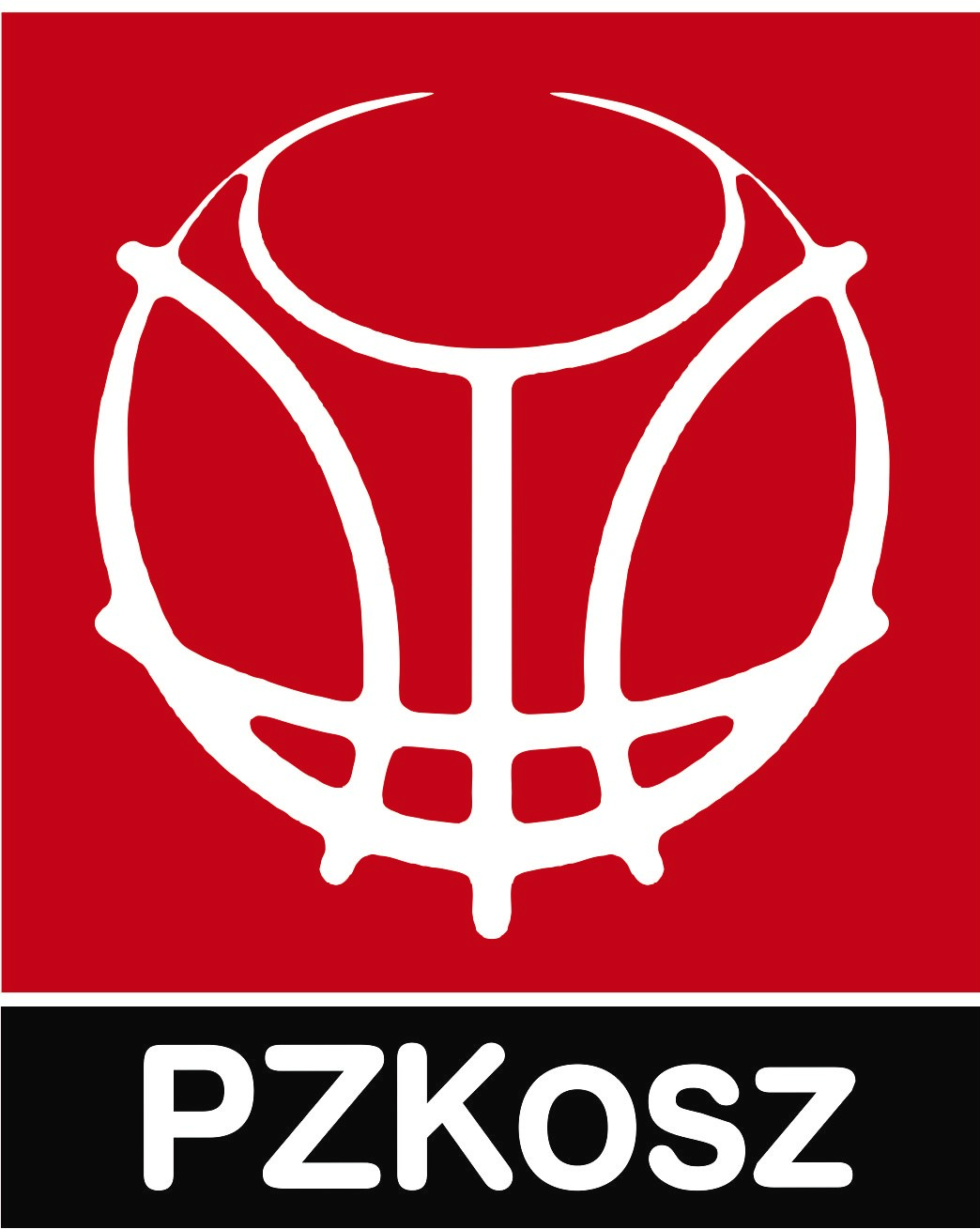 LogoPZKosz 1