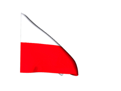 polish flag 14